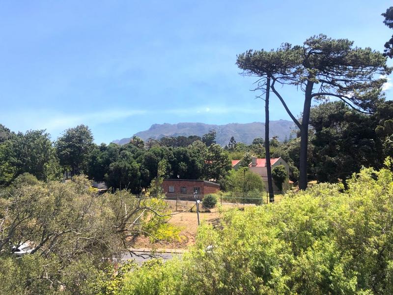 To Let 0 Bedroom Property for Rent in Wynberg Western Cape